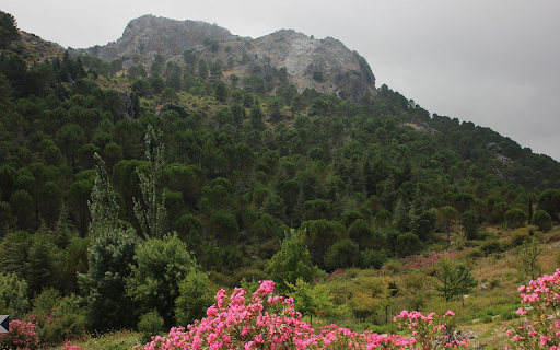 Mountains and flowers from Chrome web store to be run with OffiDocs Chromium online Mountains and flowers from Chrome web store to be run with OffiDocs Chromium online