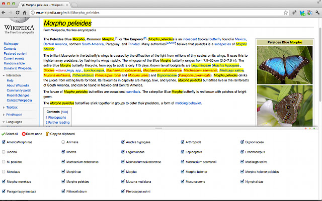 NameSpotter from Chrome web store to be run with OffiDocs Chromium online NameSpotter from Chrome web store to be run with OffiDocs Chromium online