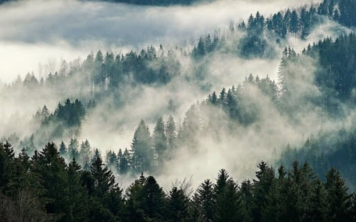 NATURE LANDSCAPETHEME from Chrome web store to be run with OffiDocs Chromium online NATURE LANDSCAPETHEME from Chrome web store to be run with OffiDocs Chromium online