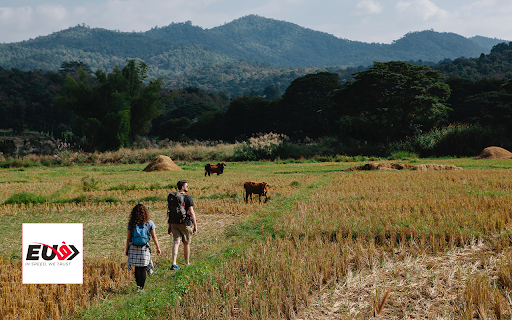 Đồng lúa from Chrome web store to be run with OffiDocs Chromium online Đồng lúa from Chrome web store to be run with OffiDocs Chromium online