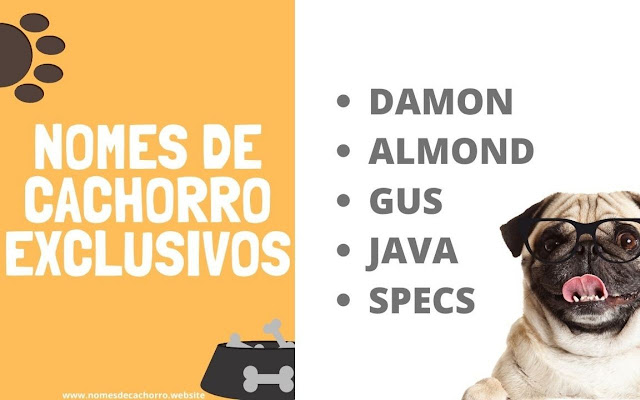 Nomes de Cachorro from Chrome web store to be run with OffiDocs Chromium online Nomes de Cachorro from Chrome web store to be run with OffiDocs Chromium online