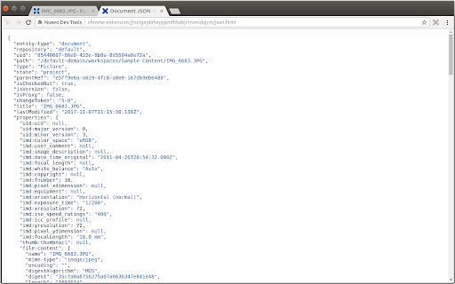 Nuxeo Dev Tools from Chrome web store to be run with OffiDocs Chromium online Nuxeo Dev Tools from Chrome web store to be run with OffiDocs Chromium online