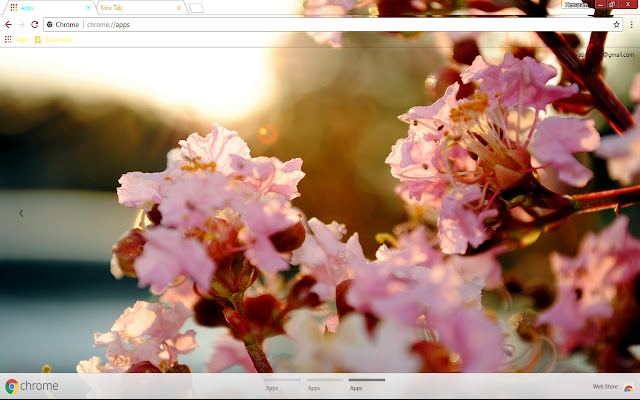 Pastel Spring from Chrome web store to be run with OffiDocs Chromium online Pastel Spring from Chrome web store to be run with OffiDocs Chromium online