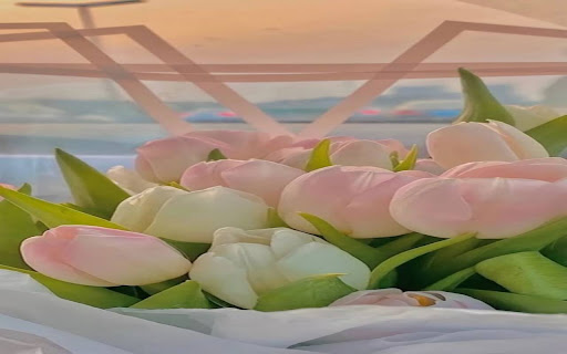 pink white tulip wallpaper from Chrome web store to be run with OffiDocs Chromium online pink white tulip wallpaper from Chrome web store to be run with OffiDocs Chromium online