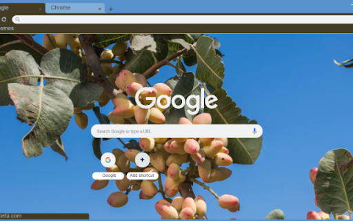 Pistachio Tree from Chrome web store to be run with OffiDocs Chromium online Pistachio Tree from Chrome web store to be run with OffiDocs Chromium online