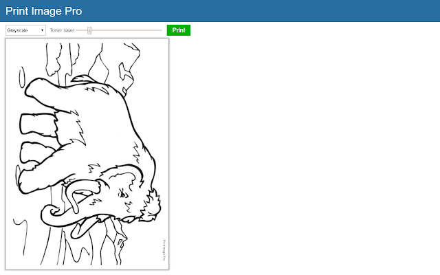 Print Image Pro from Chrome web store to be run with OffiDocs Chromium online Print Image Pro from Chrome web store to be run with OffiDocs Chromium online