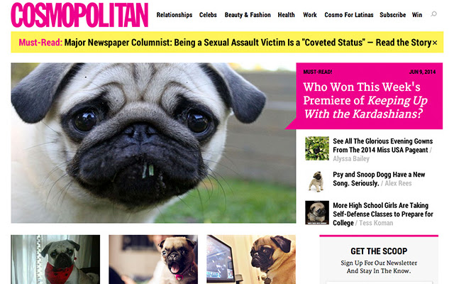 Puggin.it v2 from Chrome web store to be run with OffiDocs Chromium online Puggin.it v2 from Chrome web store to be run with OffiDocs Chromium online
