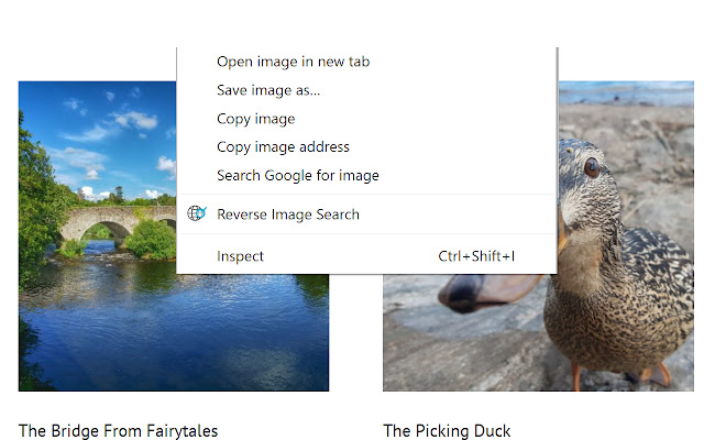 Reverse Image Search from Chrome web store to be run with OffiDocs Chromium online Reverse Image Search from Chrome web store to be run with OffiDocs Chromium online