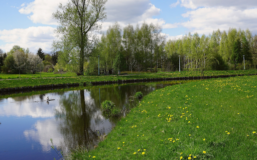 River ongrass and flower road from Chrome web store to be run with OffiDocs Chromium online River ongrass and flower road from Chrome web store to be run with OffiDocs Chromium online
