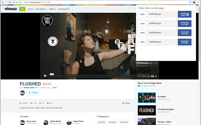 Save Video As from Chrome web store to be run with OffiDocs Chromium online Save Video As from Chrome web store to be run with OffiDocs Chromium online