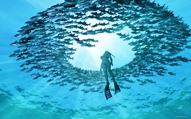 School of Fish from Chrome web store to be run with OffiDocs Chromium online School of Fish from Chrome web store to be run with OffiDocs Chromium online