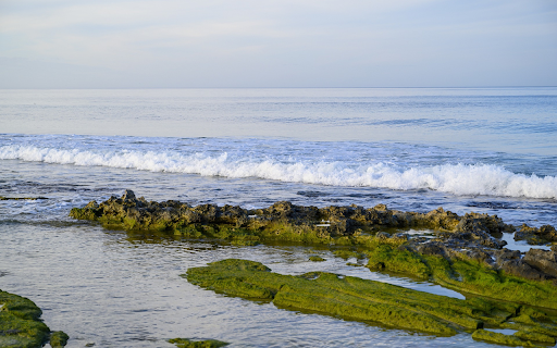 Sea waves and moss from Chrome web store to be run with OffiDocs Chromium online Sea waves and moss from Chrome web store to be run with OffiDocs Chromium online