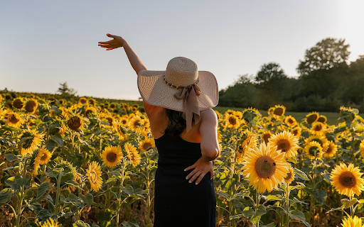 See sunflowers from Chrome web store to be run with OffiDocs Chromium online See sunflowers from Chrome web store to be run with OffiDocs Chromium online