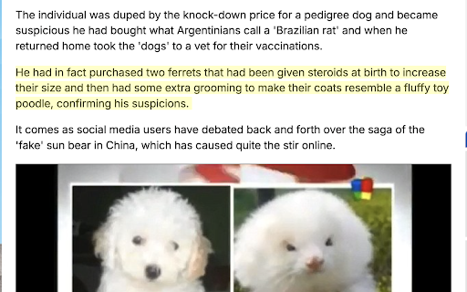 Sentence Spotlight from Chrome web store to be run with OffiDocs Chromium online Sentence Spotlight from Chrome web store to be run with OffiDocs Chromium online