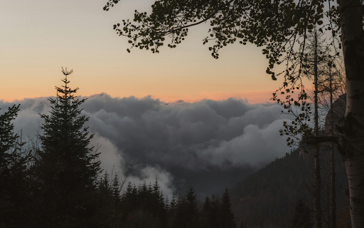 Serene Mountain Sunset with Clouded Forest View from Chrome web store to be run with OffiDocs Chromium online Serene Mountain Sunset with Clouded Forest View from Chrome web store to be run with OffiDocs Chromium online