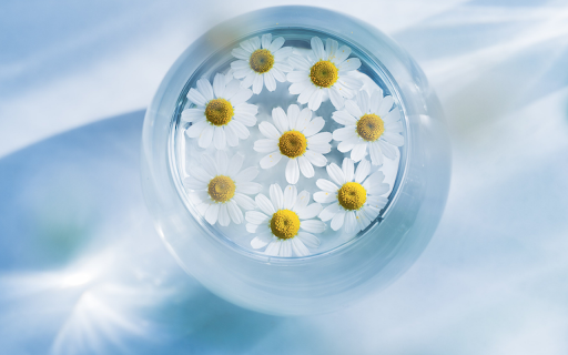 Serenity in a Glass from Chrome web store to be run with OffiDocs Chromium online Serenity in a Glass from Chrome web store to be run with OffiDocs Chromium online