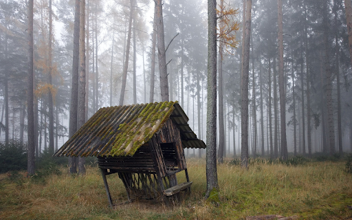 Small tent in the forest from Chrome web store to be run with OffiDocs Chromium online Small tent in the forest from Chrome web store to be run with OffiDocs Chromium online