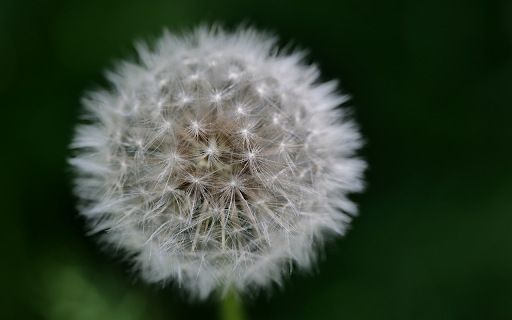 Snowflake ball from Chrome web store to be run with OffiDocs Chromium online Snowflake ball from Chrome web store to be run with OffiDocs Chromium online