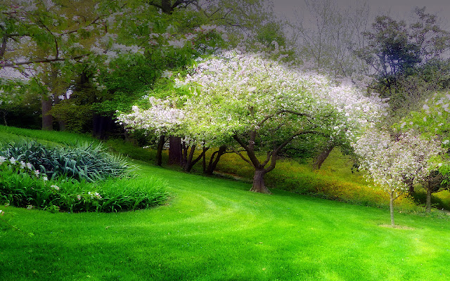 Spring Weather California from Chrome web store to be run with OffiDocs Chromium online Spring Weather California from Chrome web store to be run with OffiDocs Chromium online