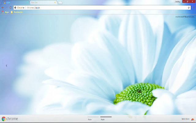 Spring White Flower from Chrome web store to be run with OffiDocs Chromium online Spring White Flower from Chrome web store to be run with OffiDocs Chromium online