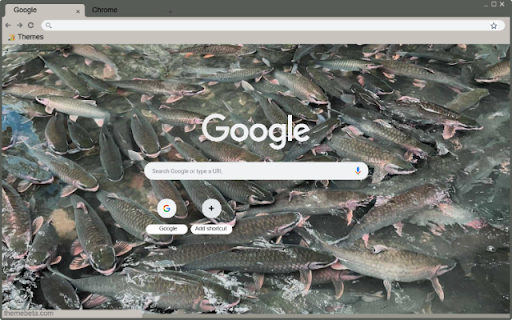 Suoi Ca Than Cam Thuy from Chrome web store to be run with OffiDocs Chromium online Suoi Ca Than Cam Thuy from Chrome web store to be run with OffiDocs Chromium online