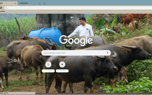 Trau from Chrome web store to be run with OffiDocs Chromium online Trau from Chrome web store to be run with OffiDocs Chromium online