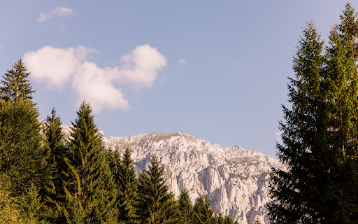 Trees and Mountains from Chrome web store to be run with OffiDocs Chromium online Trees and Mountains from Chrome web store to be run with OffiDocs Chromium online