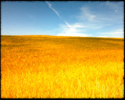 Trigo1280x1024 from Chrome web store to be run with OffiDocs Chromium online Trigo1280x1024 from Chrome web store to be run with OffiDocs Chromium online