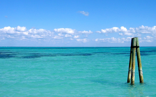 Tropical Serenity from Chrome web store to be run with OffiDocs Chromium online Tropical Serenity from Chrome web store to be run with OffiDocs Chromium online