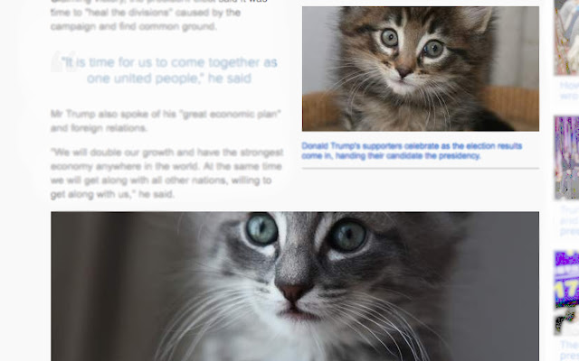Trump Kittens from Chrome web store to be run with OffiDocs Chromium online Trump Kittens from Chrome web store to be run with OffiDocs Chromium online
