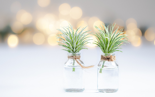 Two glass jars from Chrome web store to be run with OffiDocs Chromium online Two glass jars from Chrome web store to be run with OffiDocs Chromium online