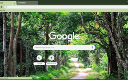 Vuon quoc gia Cuc Phuong from Chrome web store to be run with OffiDocs Chromium online Vuon quoc gia Cuc Phuong from Chrome web store to be run with OffiDocs Chromium online