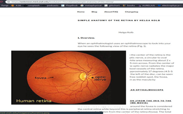 WebVision Enhance from Chrome web store to be run with OffiDocs Chromium online WebVision Enhance from Chrome web store to be run with OffiDocs Chromium online