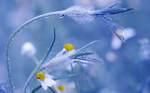 Wet tree from Chrome web store to be run with OffiDocs Chromium online Wet tree from Chrome web store to be run with OffiDocs Chromium online