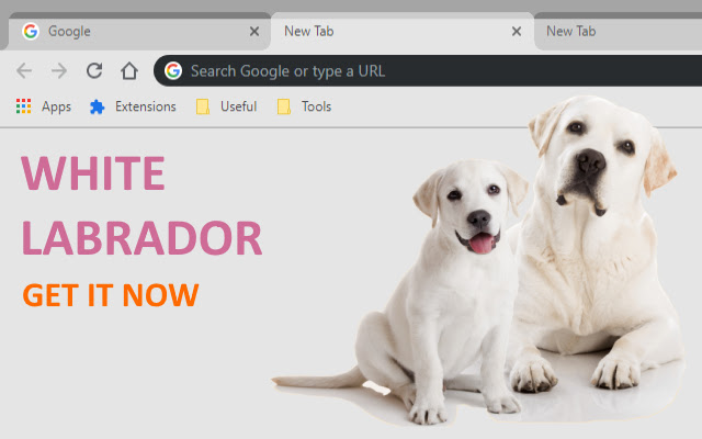 WHITE LABRADOR from Chrome web store to be run with OffiDocs Chromium online WHITE LABRADOR from Chrome web store to be run with OffiDocs Chromium online