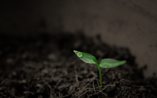 Young tree from Chrome web store to be run with OffiDocs Chromium online Young tree from Chrome web store to be run with OffiDocs Chromium online