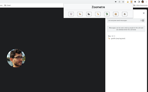 Zoometre from Chrome web store to be run with OffiDocs Chromium online Zoometre from Chrome web store to be run with OffiDocs Chromium online