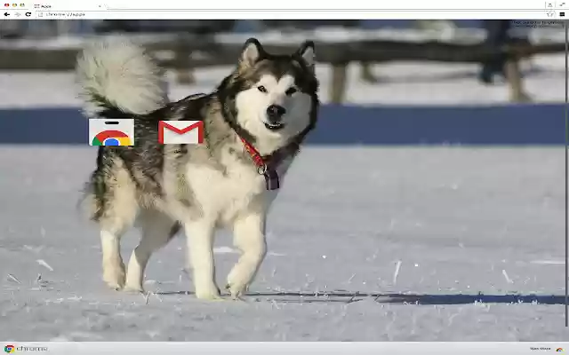 Alaskan Malamute Theme from Chrome web store to be run with OffiDocs Chromium online Alaskan Malamute Theme from Chrome web store to be run with OffiDocs Chromium online