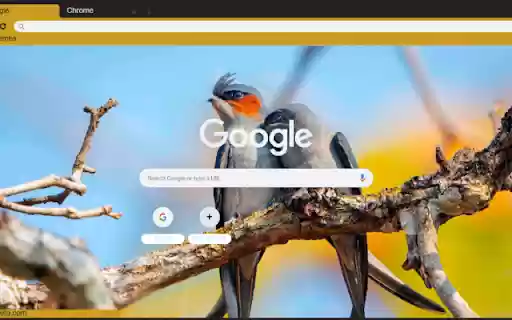 Chim from Chrome web store to be run with OffiDocs Chromium online Chim from Chrome web store to be run with OffiDocs Chromium online