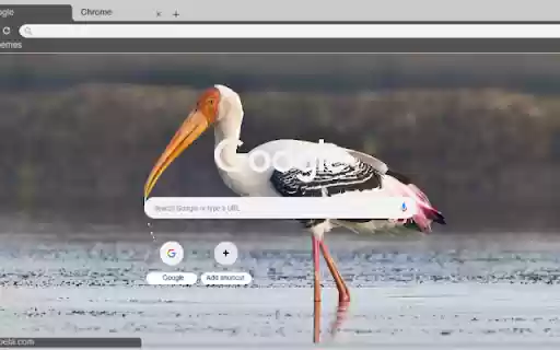 Co from Chrome web store to be run with OffiDocs Chromium online Co from Chrome web store to be run with OffiDocs Chromium online