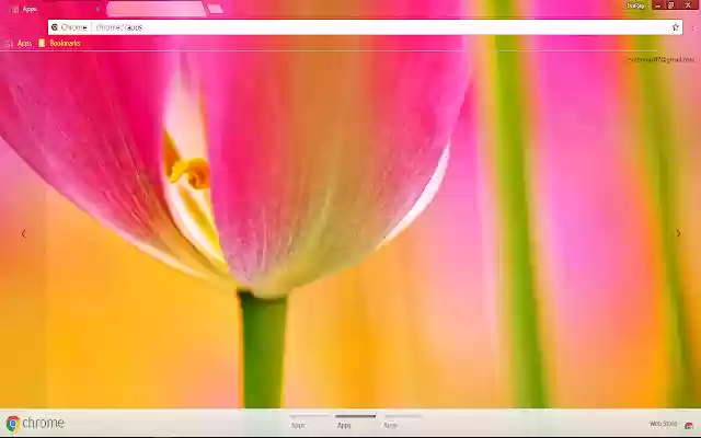 Colorful Flower Petal Pink from Chrome web store to be run with OffiDocs Chromium online Colorful Flower Petal Pink from Chrome web store to be run with OffiDocs Chromium online