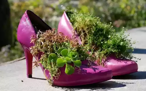 Cute shoes from Chrome web store to be run with OffiDocs Chromium online Cute shoes from Chrome web store to be run with OffiDocs Chromium online