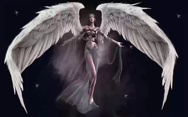 Fantasy Girl Wings from Chrome web store to be run with OffiDocs Chromium online Fantasy Girl Wings from Chrome web store to be run with OffiDocs Chromium online