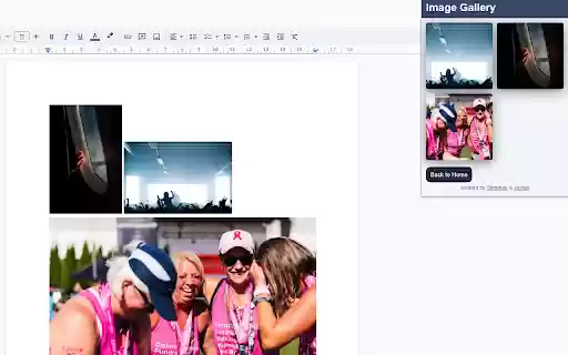 Google Docs Image Downloader from Chrome web store to be run with OffiDocs Chromium online Google Docs Image Downloader from Chrome web store to be run with OffiDocs Chromium online