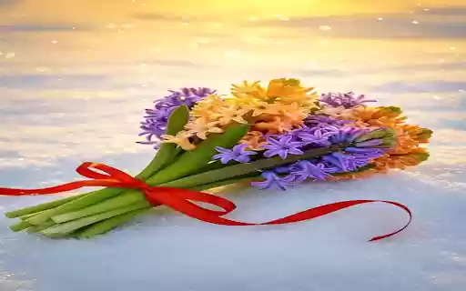 Hyacinth flower wallpaper from Chrome web store to be run with OffiDocs Chromium online Hyacinth flower wallpaper from Chrome web store to be run with OffiDocs Chromium online