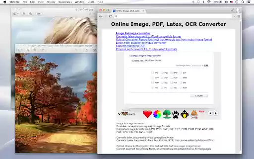 Image, OCR Converter from Chrome web store to be run with OffiDocs Chromium online Image, OCR Converter from Chrome web store to be run with OffiDocs Chromium online