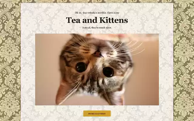 Kitten Block from Chrome web store to be run with OffiDocs Chromium online Kitten Block from Chrome web store to be run with OffiDocs Chromium online