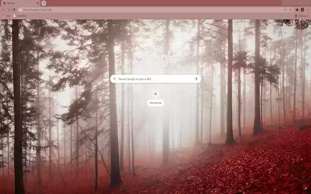 Misty Fall Forest Wallpaper Theme from Chrome web store to be run with OffiDocs Chromium online Misty Fall Forest Wallpaper Theme from Chrome web store to be run with OffiDocs Chromium online