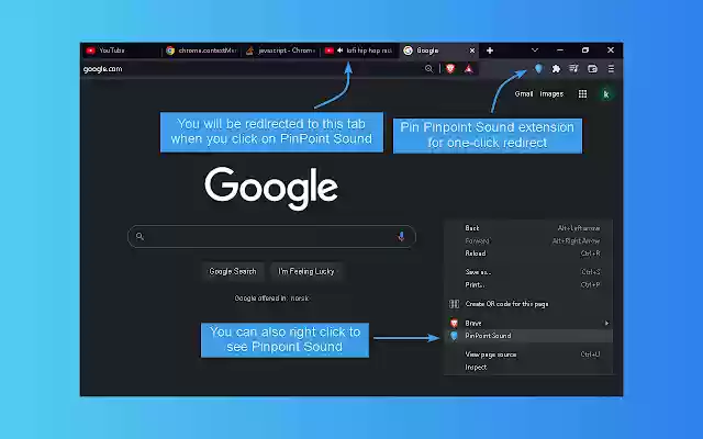 Pinpoint Sound from Chrome web store to be run with OffiDocs Chromium online Pinpoint Sound from Chrome web store to be run with OffiDocs Chromium online