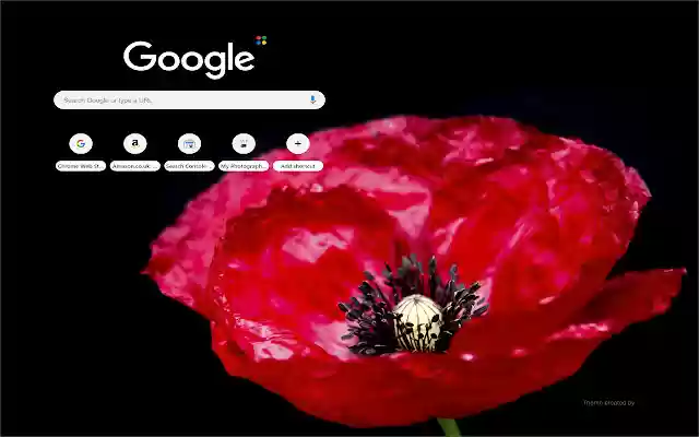 Remberance Poppy from Chrome web store to be run with OffiDocs Chromium online Remberance Poppy from Chrome web store to be run with OffiDocs Chromium online